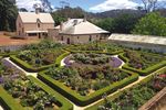 Spring Garden Exploration of Tasmania - You are invited to join Deryn Thorpe on Travelrite International's 2022