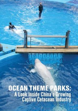 OCEAN THEME PARKS: A Look Inside China's Growing Captive Cetacean Industry - Animal Welfare Institute