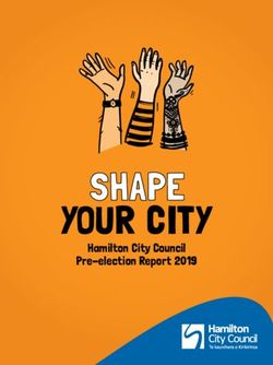 SHAPE YOUR CITY Hamilton City Council Pre-election Report 2019