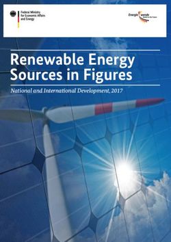 Renewable Energy Sources in Figures - National and International Development, 2017 - BMWi