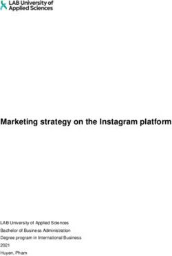 Marketing strategy on the Instagram platform - Theseus