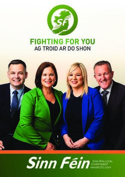 FIGHTING FOR YOU AG TROID AR DO SHON - SINN FÉIN LOCAL GOVERNMENT MANIFESTO 2019 - Sinn Fein