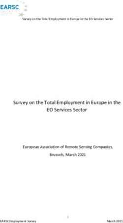 Survey on the Total Employment in Europe in the EO Services Sector