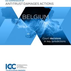 BELGIUM ANTITRUST DAMAGES ACTIONS - ICC COMPENDIUM OF - International Chamber of Commerce