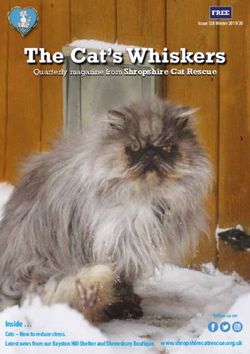 The Cat's Whiskers FREE - Quarterly magazine from Shropshire Cat Rescue