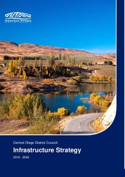 Infrastructure Strategy - Central Otago District Council 2018 2048