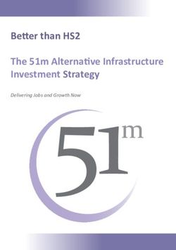 Better than HS2 The 51m Alternative Infrastructure - Delivering Jobs and Growth Now - Steve Baker