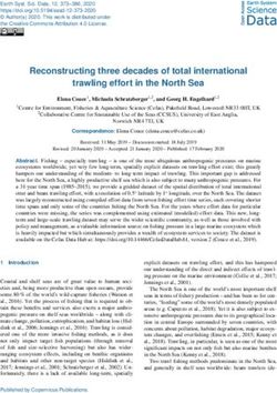 Reconstructing three decades of total international trawling effort in the North Sea
