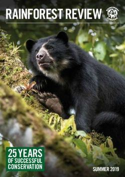 RAINFOREST REVIEW - 25 YEARS OF SUCCESSFUL CONSERVATION