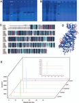Population diversity analyses provide insights into key horticultural traits of Chinese native thymes - Oxford Academic