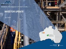 INVESTOR UPDATE CLICK TO EDIT MASTER TITLE STYLE - JULY 2019 - Metals X Limited