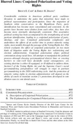 Blurred Lines: Conjoined Polarization and Voting Rights