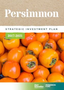 Persimmon 2017-2021 STRATEGIC INVESTMENT PLAN - Hort Innovation
