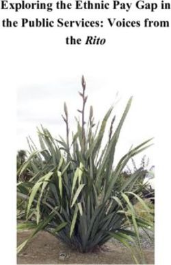 Exploring the Ethnic Pay Gap in the Public Services: Voices from the Rito