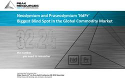 NEODYMIUM AND PRASEODYMIUM 'NDPR' BIGGEST BLIND SPOT IN THE GLOBAL COMMODITY MARKET