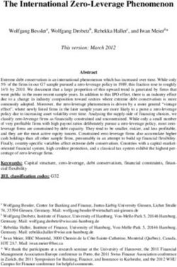 The International Zero-Leverage Phenomenon - European ...