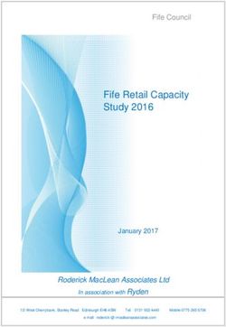 Fife Retail Capacity Study 2016 - Fife Council