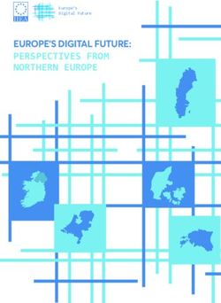 EUROPE'S DIGITAL FUTURE: PERSPECTIVES FROM NORTHERN EUROPE - Europe's Digital Future - IIEA