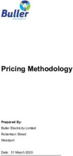 Pricing Methodology Prepared By: Buller Electricity Limited Robertson Street Westport Date: 31 March 2020