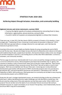 STRATEGIC PLAN: 2019-2021 - Achieving impact through inclusion, innovation, and community building