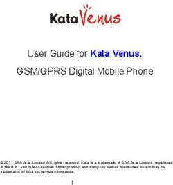 User Guide for Kata Venus. GSM/GPRS Digital Mobile Phone