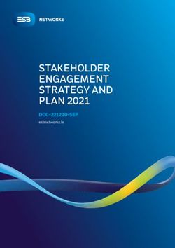STAKEHOLDER ENGAGEMENT STRATEGY AND PLAN 2021 - DOC-221220-SEP esbnetworks.ie