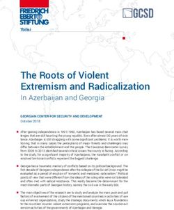 The Roots of Violent Extremism and Radicalization