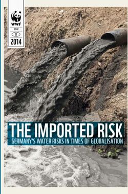 THE IMPORTED RISK 2014 - GERMANY'S WATER RISKS IN TIMES OF GLOBALISATION