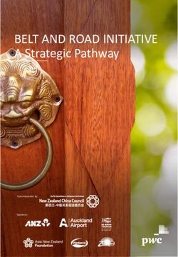 BELT AND ROAD INITIATIVE - A Strategic Pathway - Commissioned by Sponsors: Asia New Zealand ...