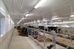 AmeriLux News | July 2022 - Natural Lighting on Animal Farms
