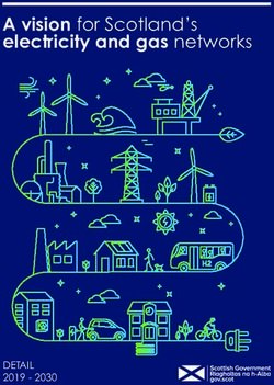 A vision for Scotland's electricity and gas networks - DETAIL 2019 2030