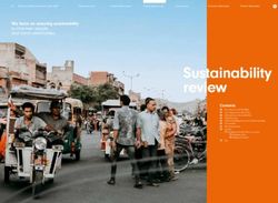 Sustainability review - Naspers ...