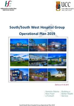 South/South West Hospital Group Operational Plan 2019 - HSE.ie