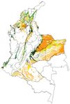 The flow of palm oil Colombia-Belgium/Europe - A study from a human rights perspective