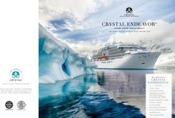 CRYSTAL ENDEAVOR - Widgety