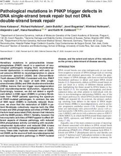 Pathological mutations in PNKP trigger defects in DNA single-strand break repair but not DNA double-strand break repair