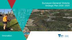 Surveyor-General Victoria - Strategic Plan 2020 -2025 - Innovation - Property ...