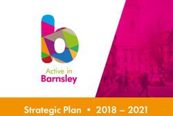 Strategic Plan 2018 2021 - Barnsley Council