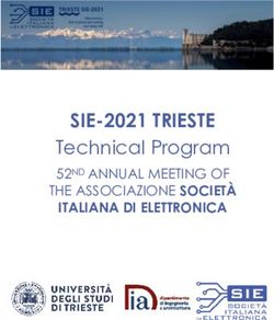 SIE-2021 TRIESTE Technical Program - ITALIANA DI ELETTRONICA - Università degli studi di Trieste