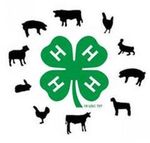 The Clover Connection - Pacific County 4-H January 20, 2022