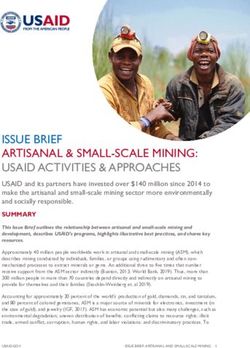 ISSUE BRIEF ARTISANAL & SMALL-SCALE MINING: USAID ACTIVITIES ...