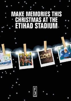 ETIHAD STADIUM MAKE MEMORIES THIS CHRISTMAS AT THE - F3 Events