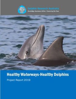 Healthy Waterways-Healthy Dolphins - Project Report 2019 - Dolphin Research ...