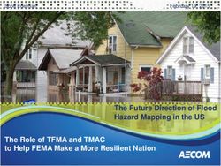 The Future Direction of Flood Hazard Mapping in the US The Role of TFMA and TMAC to Help FEMA Make a More Resilient Nation - Scott Edelman