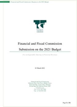 Financial and Fiscal Commission Submission on the 2021 Budget - Financial and ...