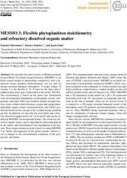 MESMO 3: Flexible phytoplankton stoichiometry and refractory dissolved organic matter - GMD