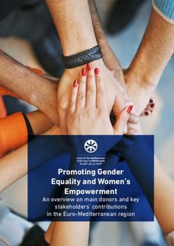 Promoting Gender Equality and Women's Empowerment - An overview on main donors and key stakeholders' contributions in the Euro-Mediterranean region