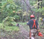 HOLLIDAY NATURE PRESERVE ASSOCIATION