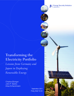 Transforming the Electricity Portfolio - Lessons from Germany and Japan in Deploying Renewable Energy