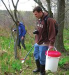 Managing for massasaugas - The eastern massasauga - Edward Lowe Foundation